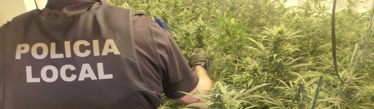 La Guardia Civil incauta más de 300 plantas de marihuana con la colaboración de la Policía Local