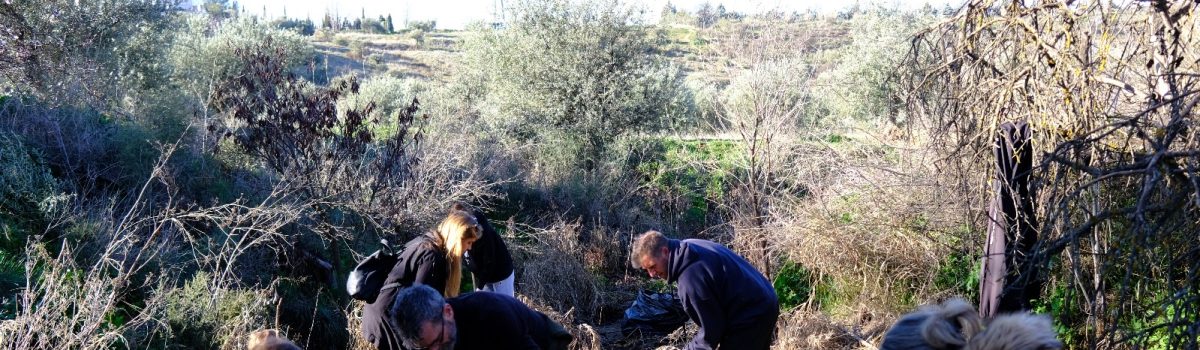 Voluntarios eliminan la «basuraleza» del barranco de la Zorra