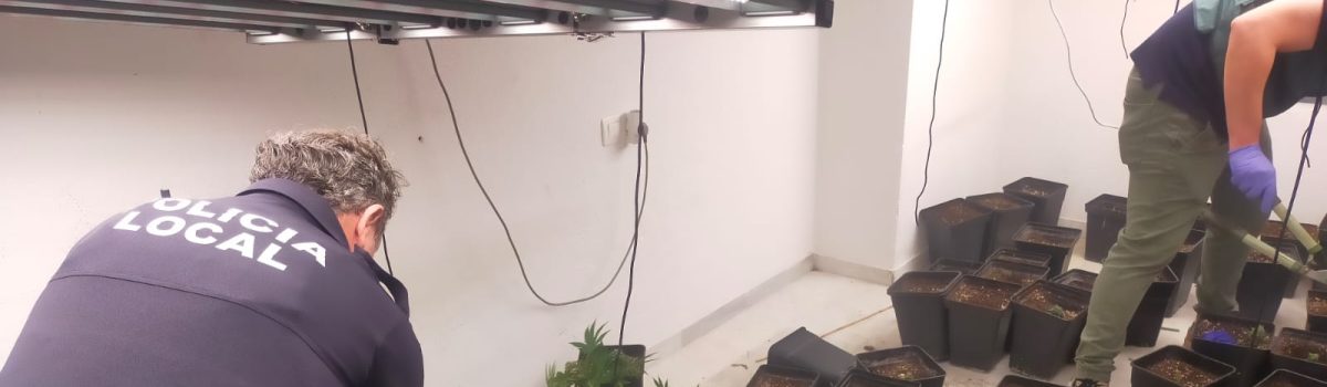 Desmantelada una plantación de marihuana en el interior de una vivienda de Huétor Vega