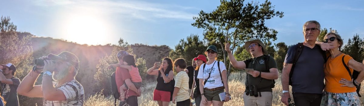 Paseo ornitológico por los alrededores de Huétor Vega