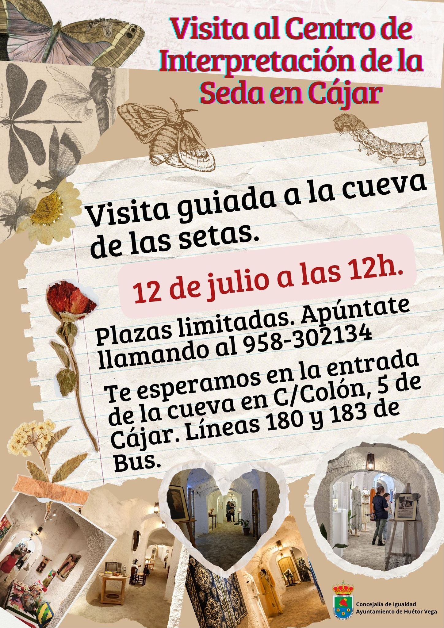 Huétor Vega organiza una visita a la Cueva de las Setas de Cájar - 2025